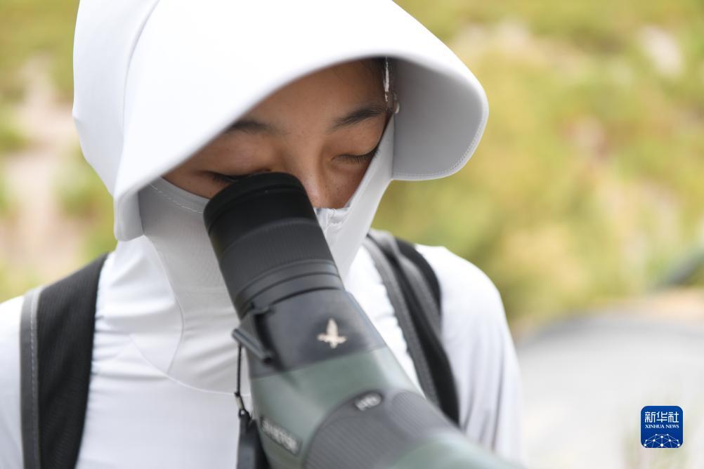 六台至尊苹果怎么下载